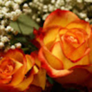 Meet your Posher, Irene